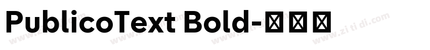 PublicoText Bold字体转换